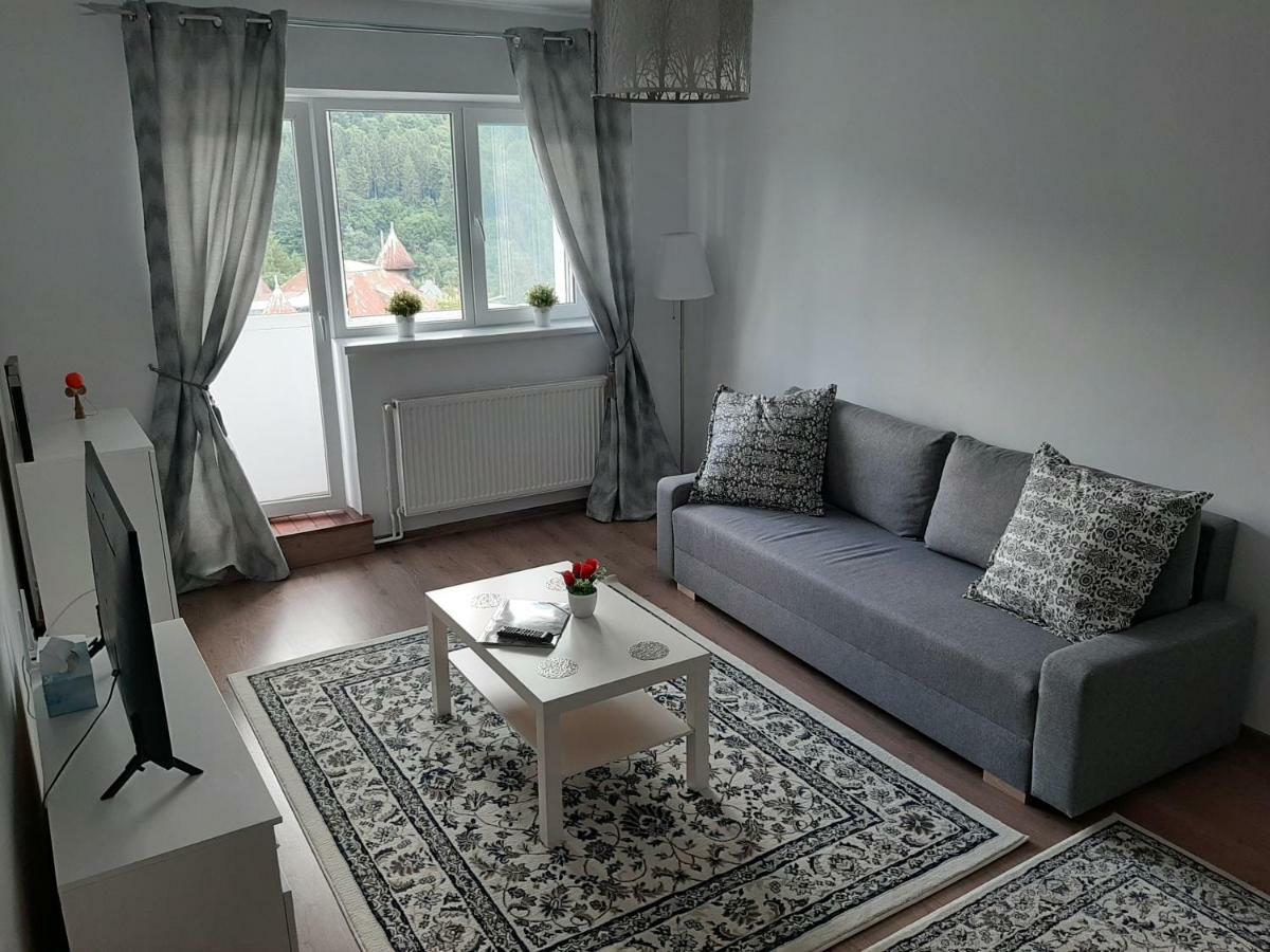 Lidia'S Apartment Sinaia Kültér fotó